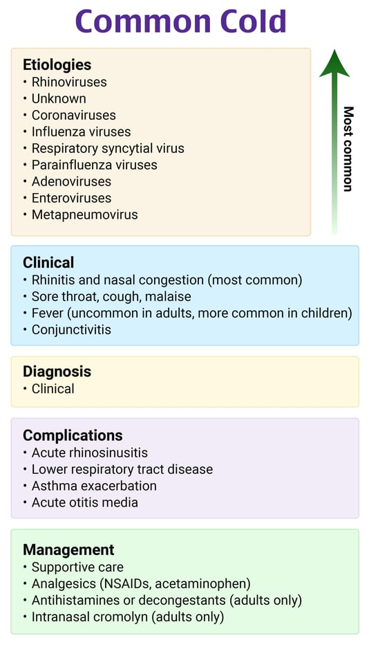 RebelEM Scholar viral-vs-bacterial-pneumonia-medical-facts-nursing-care-plan-nclex-prep